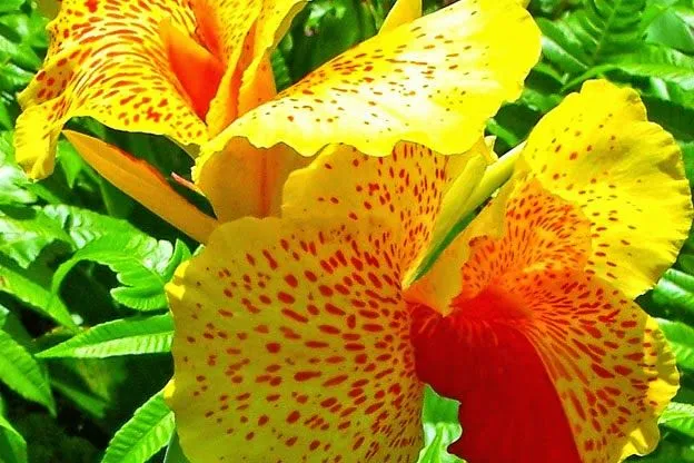 Esencia de vivir - Google+
