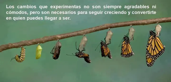 Ser esenciales | Ser simple, ser genuino, ser esencial… | Página 6 Ser esenciales | Ser simple, ser genuino, ser esencial… | Página 6