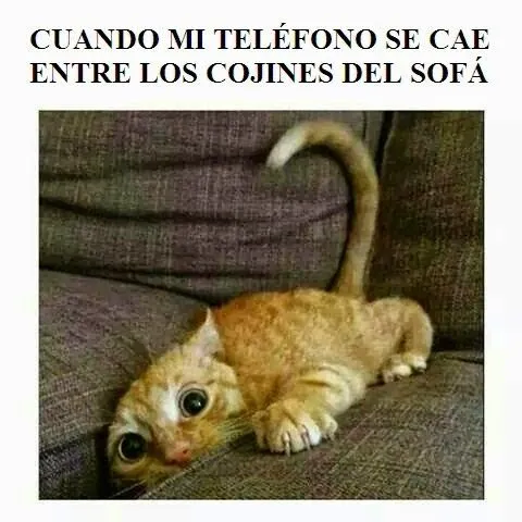 Ese+teléfono+en+el+sofá.jpg