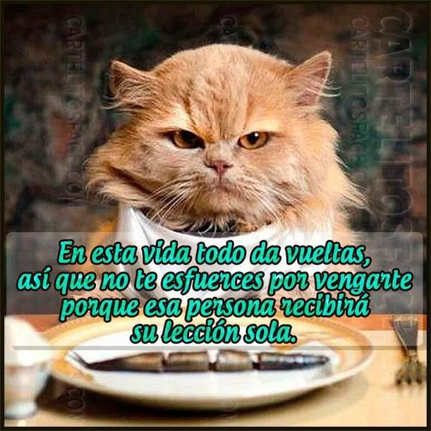 No te esfuerces por #vengarte | Tarjetitas con mensajes | Pinterest No te esfuerces por #vengarte | Tarjetitas con mensajes | Pinterest