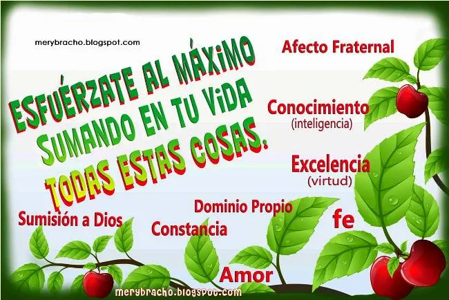 Esfuérzate y hazlo. Mira tus Cualidades | Entre Poemas y Vivencias