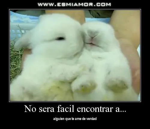 Conejitos Amorosos | EsMiAmor - Descargar Imágenes de Amor GRATIS