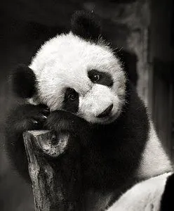 EsoQue: Tierno