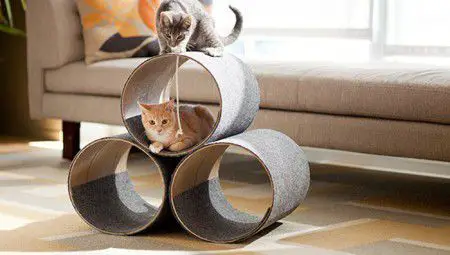 Como hacer un espacio de juego para tus gatos | Todo Manualidades Como hacer un espacio de juego para tus gatos | Todo Manualidades