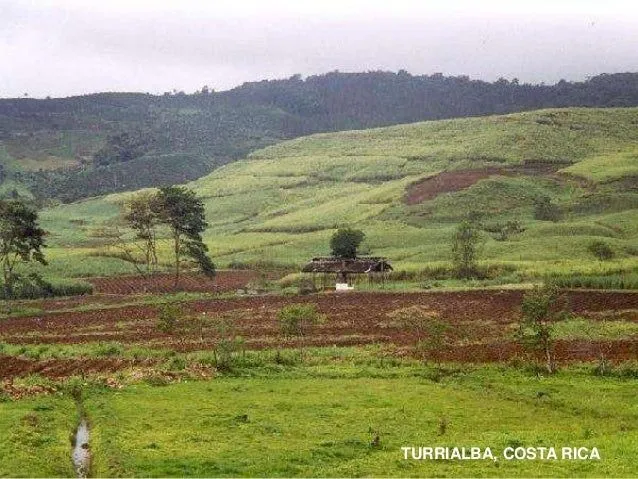 Espacio rural 2011