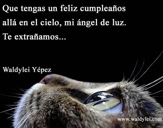El Espacio de Waldylei: Frases: "Que tengas un feliz cumpleaños ... El Espacio de Waldylei: Frases: "Que tengas un feliz cumpleaños ...