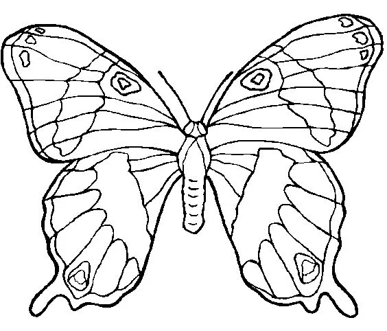 ESPAÇO APRENDENTE**´¯`*♥**´¯`*♥**: DESENHOS PARA IMPRIMIR E PINTAR/ ESPAÇO APRENDENTE**´¯`*♥**´¯`*♥**: DESENHOS PARA IMPRIMIR E PINTAR/