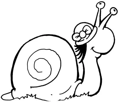 ESPAÇO EDUCAR: 30 desenhos de caracol para colorir! ESPAÇO EDUCAR: 30 desenhos de caracol para colorir!