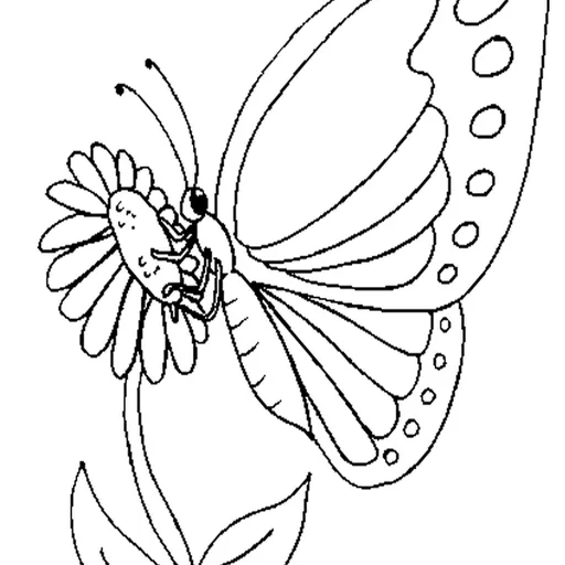 ESPAÇO EDUCAR: Desenhos de borboletas para colorir! ESPAÇO EDUCAR: Desenhos de borboletas para colorir!