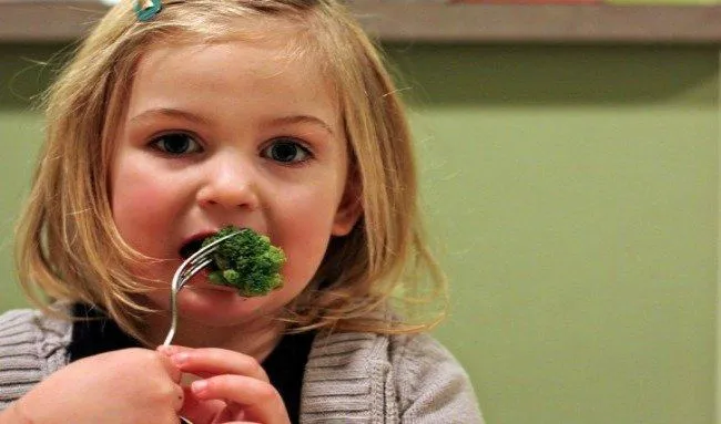 Especial Alimentación infantil: recetas para niños de entre dos y ...