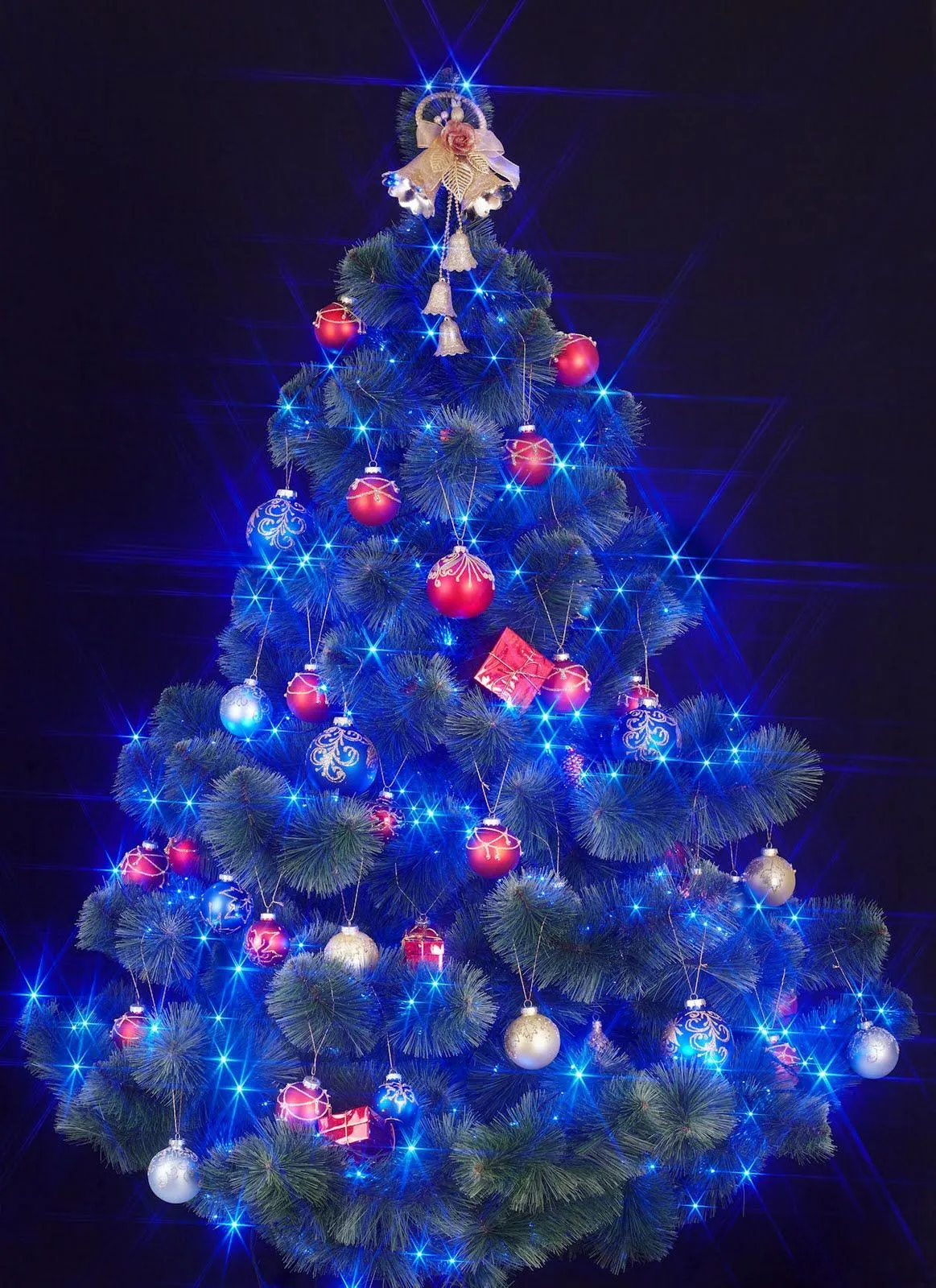 Especial de Fin de Año (Fotos de Árboles de Navidad) | Banco de ...