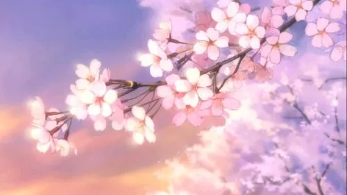 Arbol de cerezos anime - Imagui