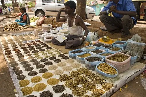 Especias en la India — Paraconocer
