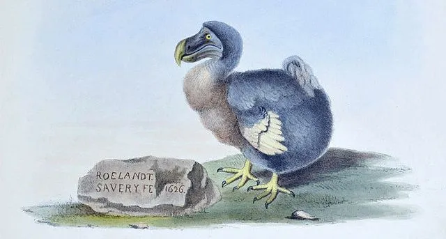 Una de cada ocho especies de aves del planeta están en peligro de ...