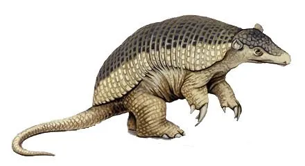 Especies en peligro de extinción: Armadillo gigante o tatú carreta