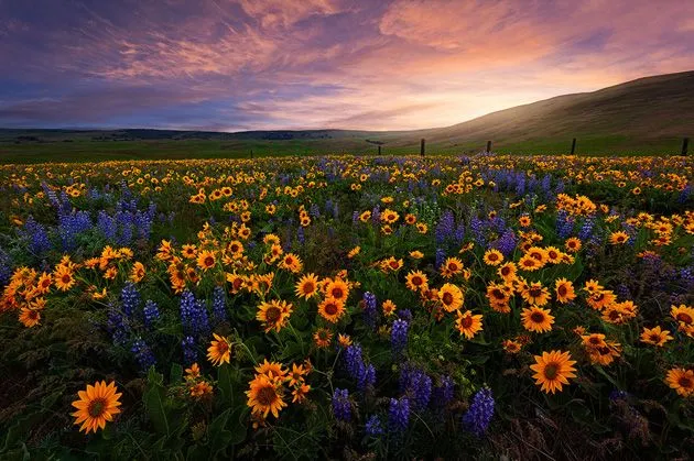 Espectaculares fotografías de Miles Morgan – Puerto Pixel ... Espectaculares fotografías de Miles Morgan – Puerto Pixel ...