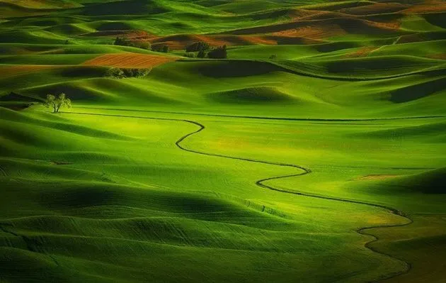 Espectaculares fotografías de Miles Morgan – Puerto Pixel ... Espectaculares fotografías de Miles Morgan – Puerto Pixel ...