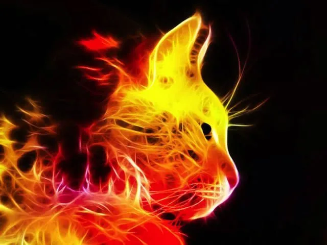 Espectaculares imágenes de animales en colores electrizante - Taringa! Espectaculares imágenes de animales en colores electrizante - Taringa!