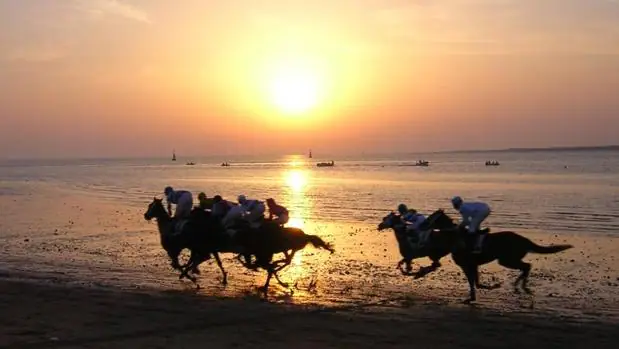 El espectáculo de las carreras de caballos en la playa de Sanlúcar El espectáculo de las carreras de caballos en la playa de Sanlúcar
