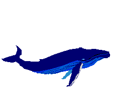 Gifs animados de ballenas. Gifs animados. Imágenes animadas.