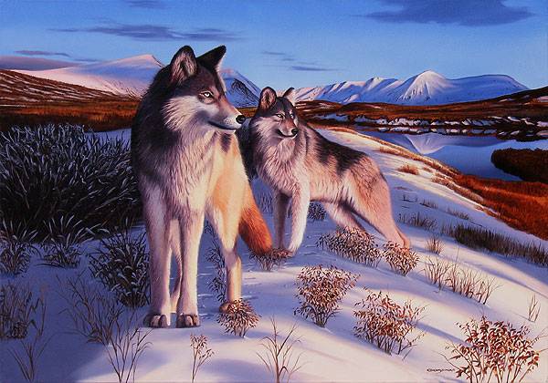 paisajes con lobos - Blog de familia5432