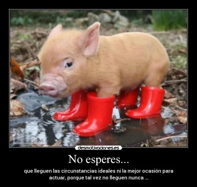 No esperes... | Desmotivaciones