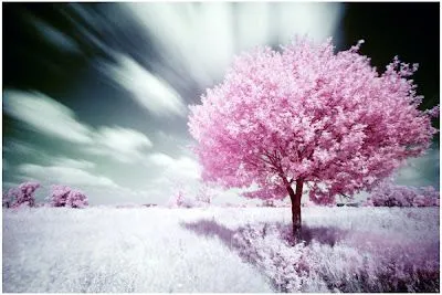 No espero días sin lluvia, ni atardeceres románticos,