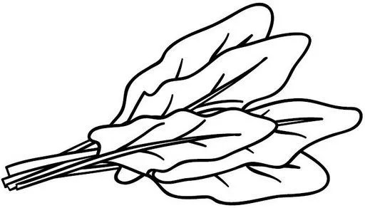 Dibujo de espinacas
