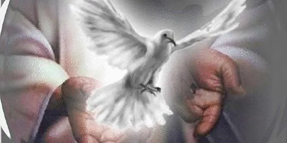 El Espíritu Santo lo tiene difícil, como paloma, para entrar en la ... El Espíritu Santo lo tiene difícil, como paloma, para entrar en la ...