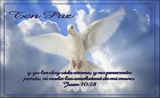 Tarjetas de duelo - Imagui