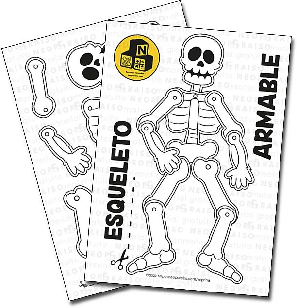 Esqueleto Armable PDF gratis
