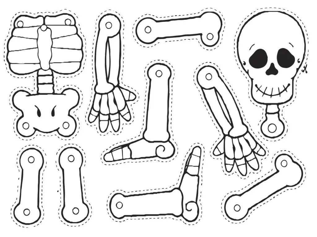 Esqueleto para armar especial halloween y dia de muertos Esqueleto para armar especial halloween y dia de muertos