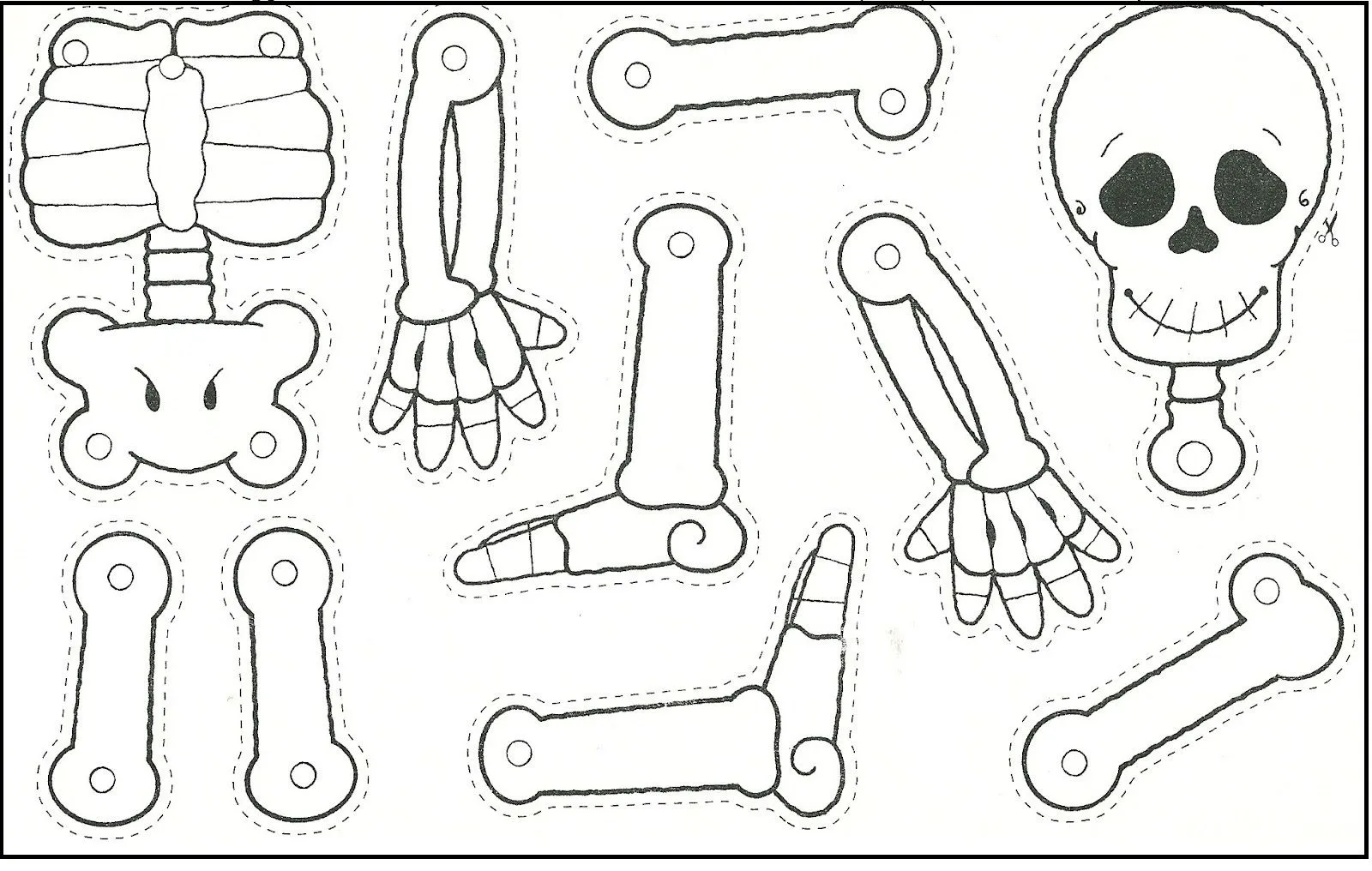 Esqueleto para armar - Imagui