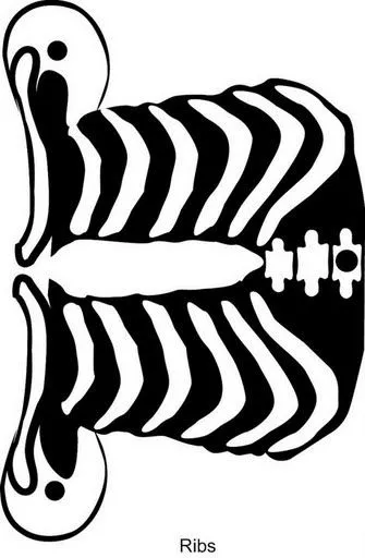 Manualidades Mussola • View topic - Esqueletos y Calaveras para ... Manualidades Mussola • View topic - Esqueletos y Calaveras para ...