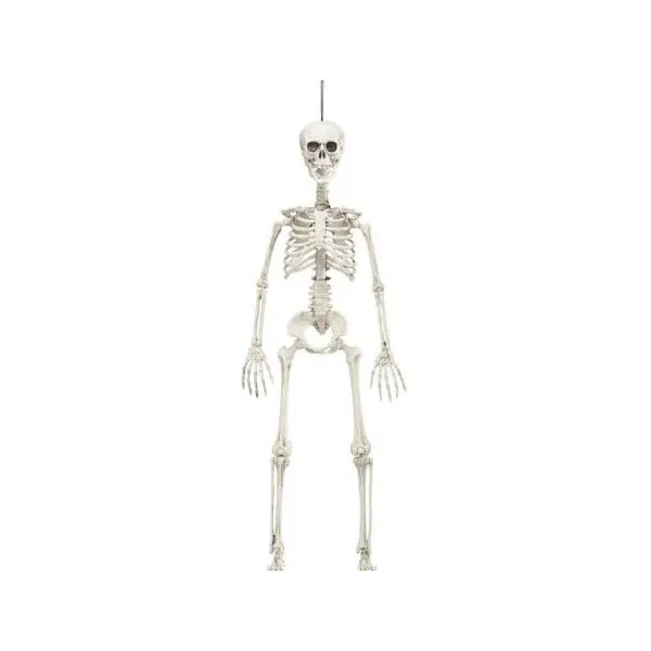 ESQUELETO ARTICULADO 90 CMS. - comprar online en ... ESQUELETO ARTICULADO 90 CMS. - comprar online en ...