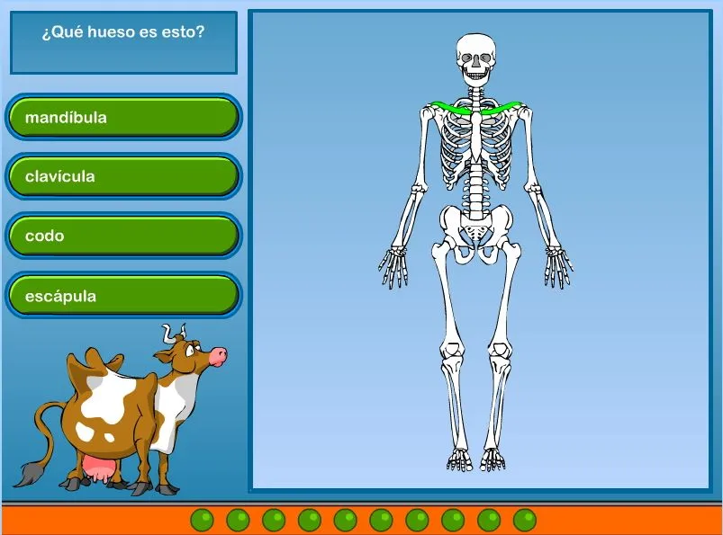 Esqueleto (ciberkidz.co) - Didactalia: material educativo Esqueleto (ciberkidz.co) - Didactalia: material educativo