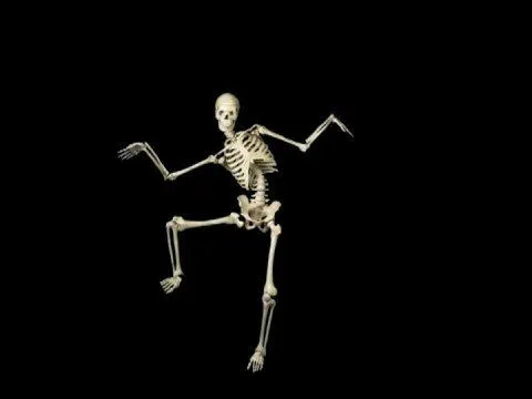 esqueleto gracioso - YouTube