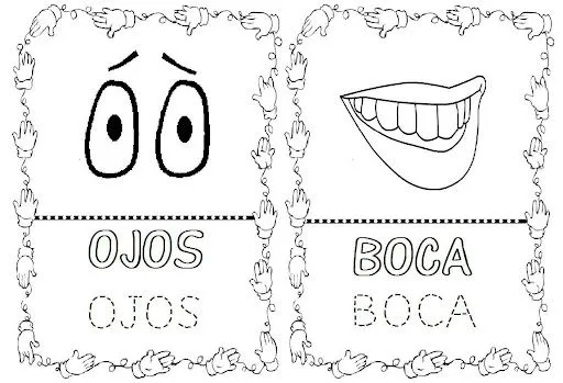 Dibujo de partes del cuerpo para niños - Imagui Dibujo de partes del cuerpo para niños - Imagui