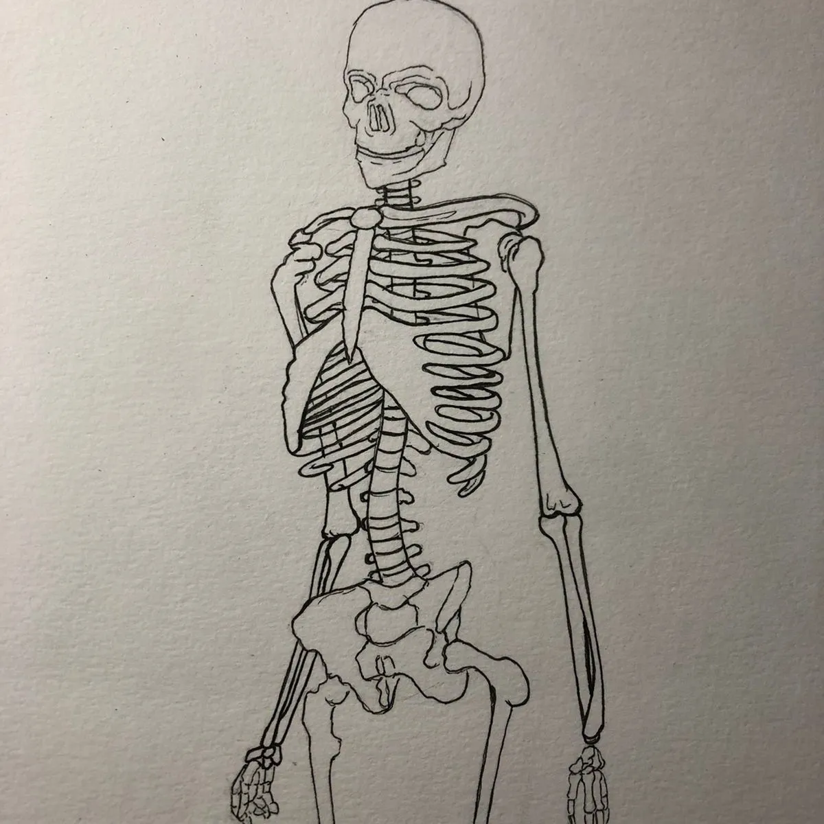 El esqueleto humano y sus formas | Domestika El esqueleto humano y sus formas | Domestika