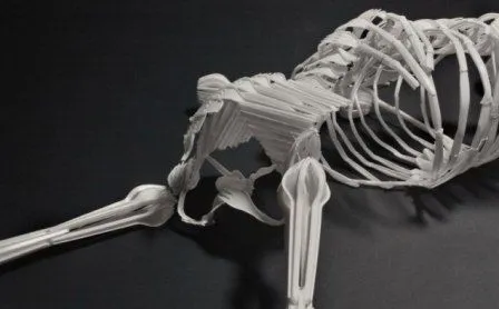 Como hacer un esqueleto humano en material reciclable - Imagui Como hacer un esqueleto humano en material reciclable - Imagui