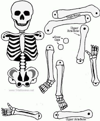 esqueleto humano montar - Cerca amb Google | esque | Pinterest ... esqueleto humano montar - Cerca amb Google | esque | Pinterest ...