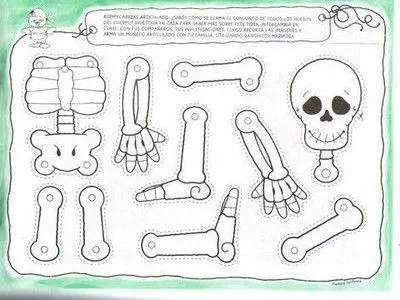 Esqueleto humano para recortar y armar - Imagui Esqueleto humano para recortar y armar - Imagui