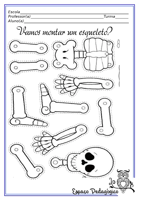 Esqueleto para montar - Imagui