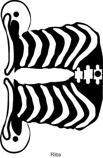 470_156157.jpg?imgmax=640