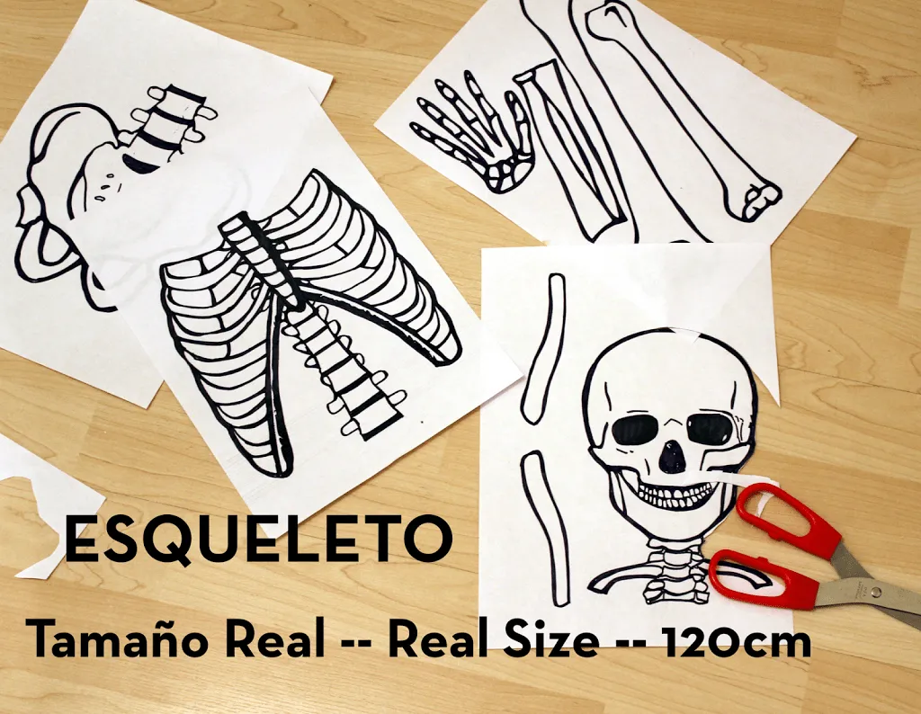 Esqueleto en Tamaño Real — Imprimible Gratis | Nitdia Esqueleto en Tamaño Real — Imprimible Gratis | Nitdia