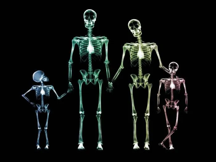 Esqueletos animados con movimiento - Imagui