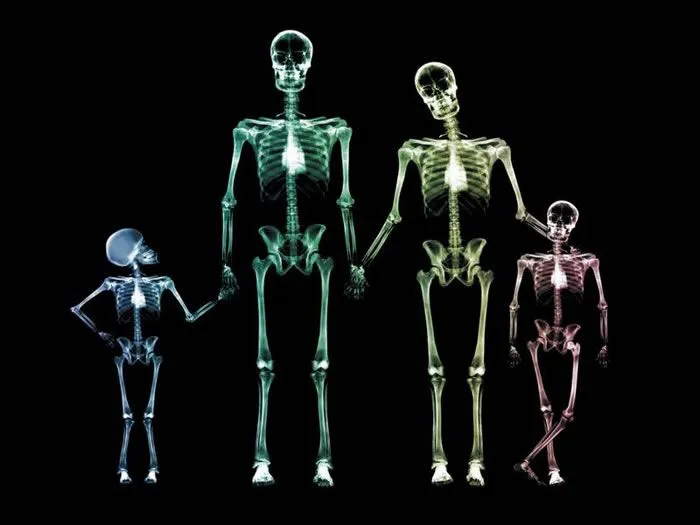 Esqueletos animados con movimiento - Imagui Esqueletos animados con movimiento - Imagui