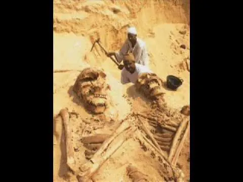 Esqueletos de gigantes encontrados y ocultados para negar una gran ... Esqueletos de gigantes encontrados y ocultados para negar una gran ...