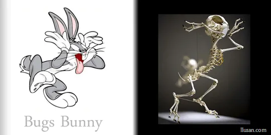 Esqueletos realistas de los Cartoons más conocidos | Boton Turbo Esqueletos realistas de los Cartoons más conocidos | Boton Turbo