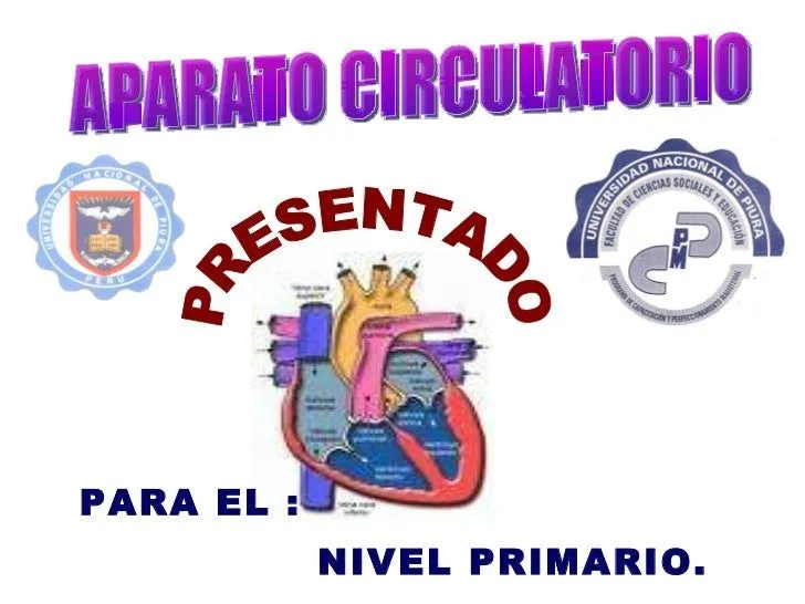 Explicacion del sistema circulatorio para niños de inicial - Imagui Explicacion del sistema circulatorio para niños de inicial - Imagui